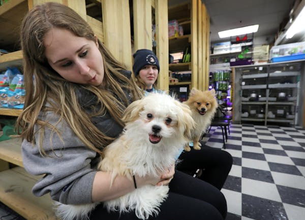 Meghan Stavropol (left) and Marissa Erdman stopped by the HarMar Pet Store in Roseville last December to give some love to a couple puppies.