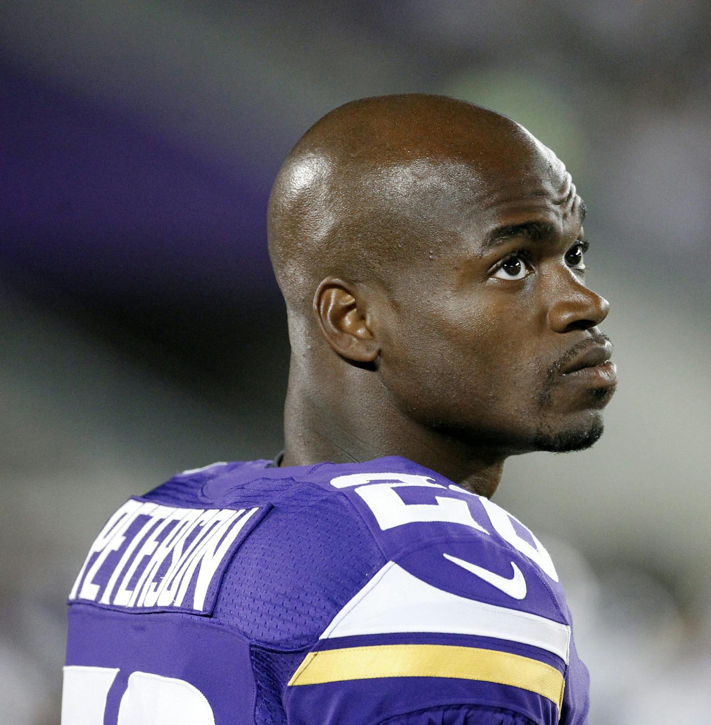 Minnesota Vikings running back Adrian Peterson watches from the sidelines against the Oakland Raiders during the second half of a preseason NFL football game at TCF Bank Stadium in Minneapolis, Friday, Aug. 8, 2014. (AP Photo/Ann Heisenfelt)