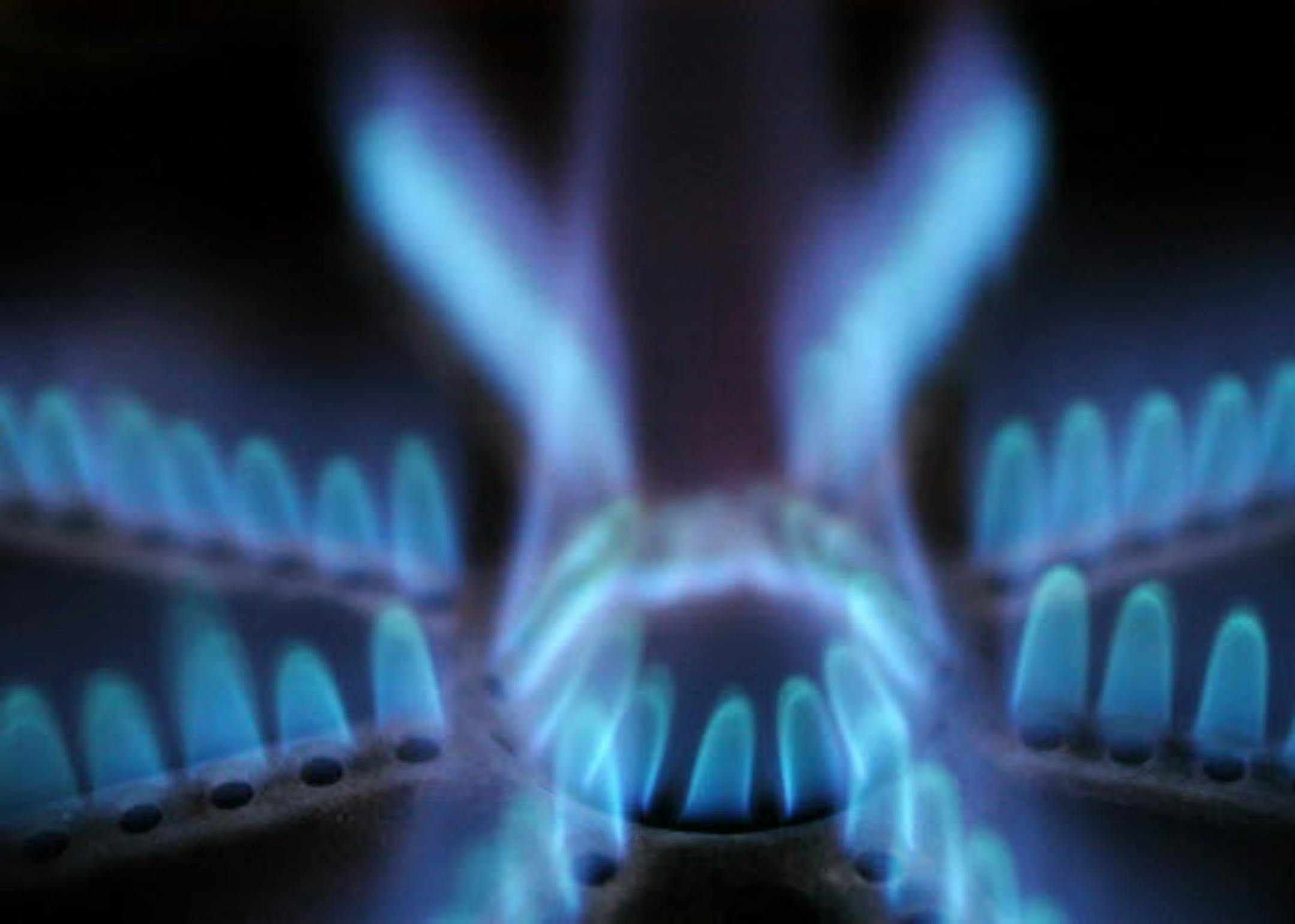 Blue flame from a natural gas stove burner