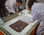 National Museum of Archaeology, Anthropology and History of Peru personnel lift a sheet of paper to reveal a Paracas textile calendar during a media p
