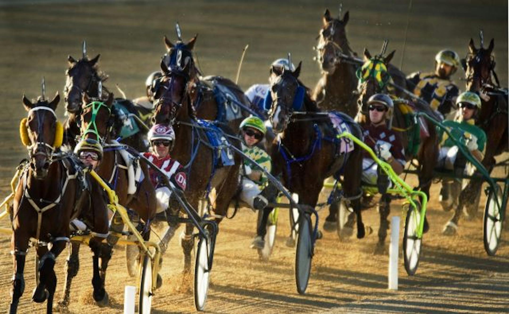 Running Aces Harness Track near Forest Lake.