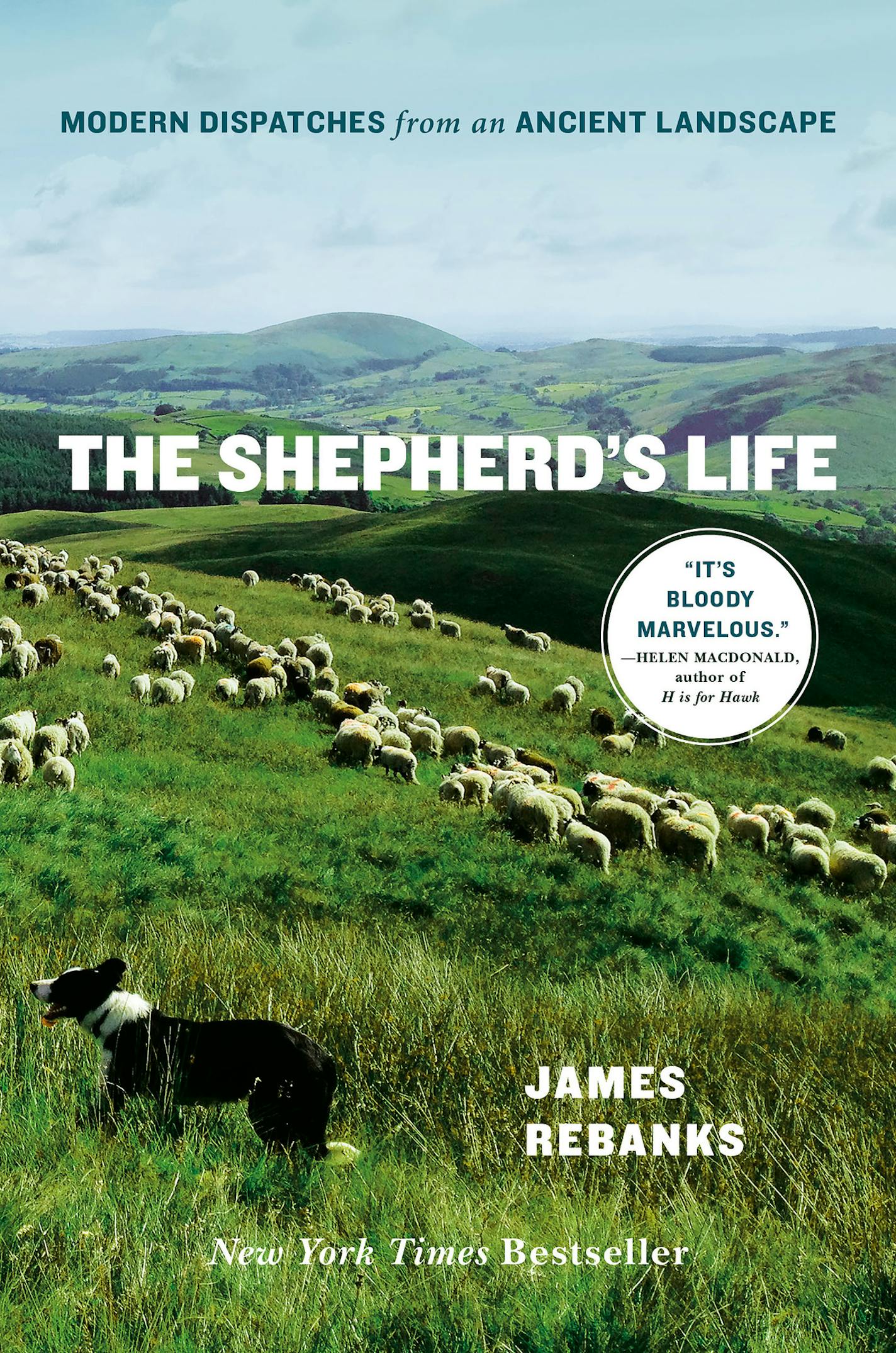 "The Shepherd's Life," by James Rebanks