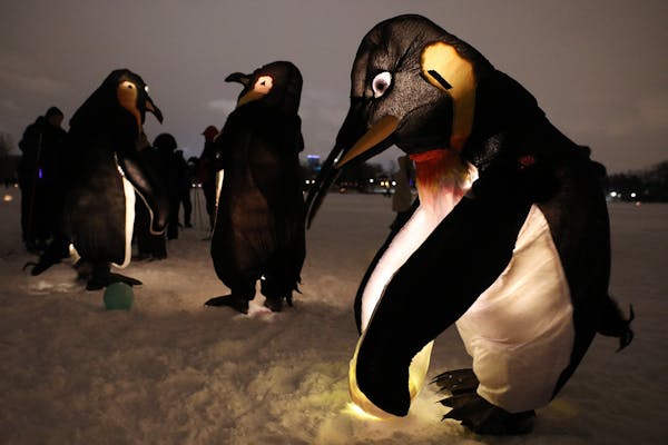 A group of glowing penguins danced with an egg as attendees of the annual Luminary Loppet watched Saturday.