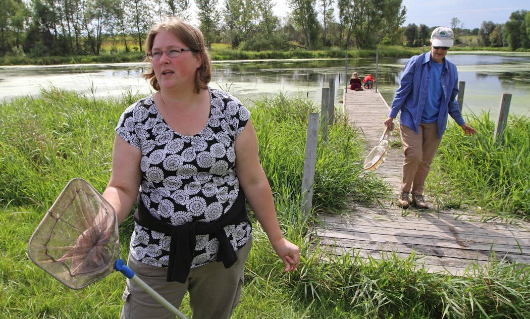 Ney Nature Center Executive Director Becky Pollack and retired biologist Judy Helgen looked for frogs at the Ney Nature Center in Henderson, Minn. in 2012.