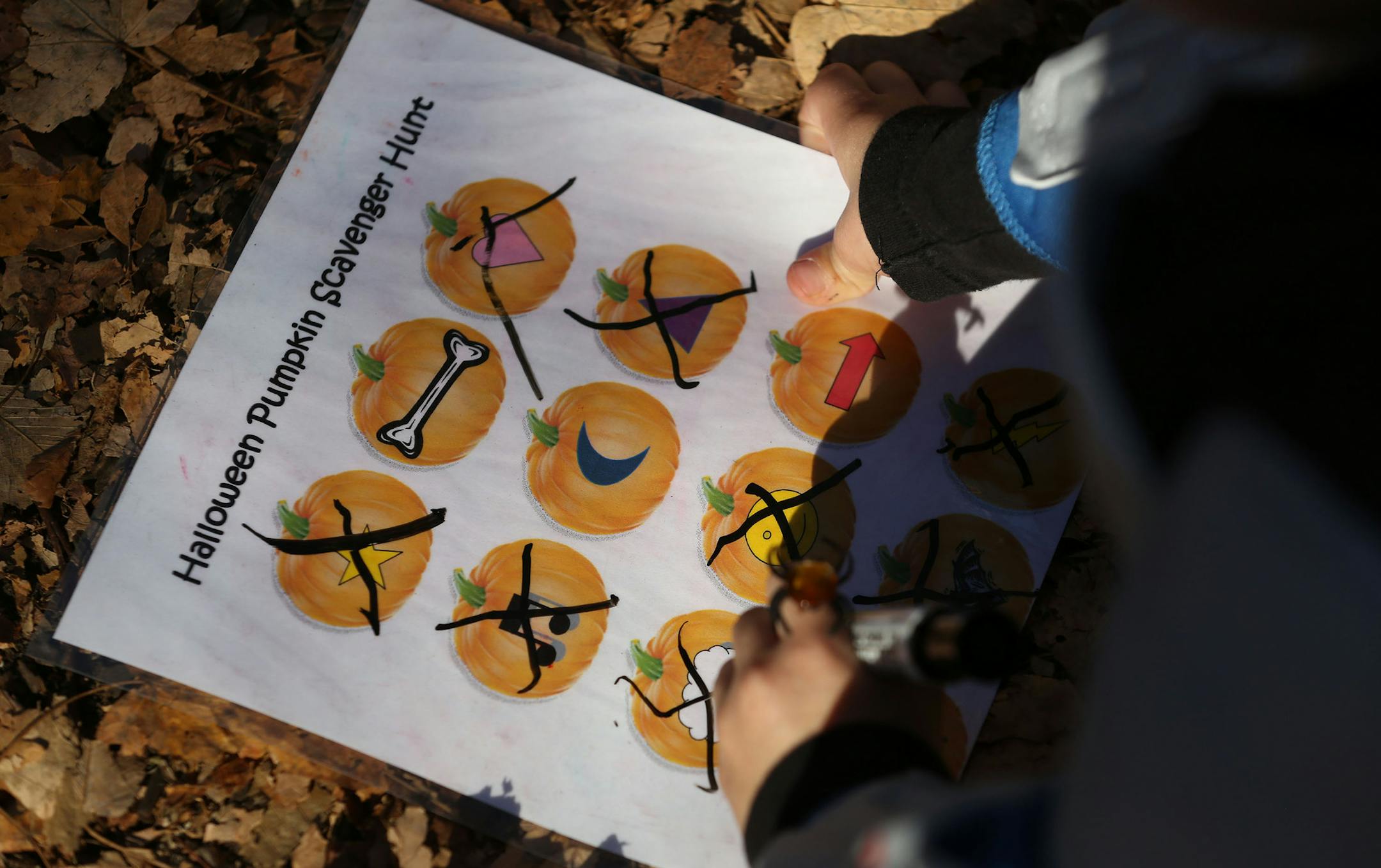 Brecken Maras, 5, of Maple Grove, marked off pumpkins he found during the pumpkin scavenger hunt. ] (KYNDELL HARKNESS/STAR TRIBUNE) kyndell.harkness@startribune.com Big Woods Halloween event at Eastman Nature Center in Dayton Min., Saturday, October 25, 2014.