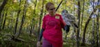 Anne Cammack, cq, held onto a barred owl as she welcomed visitors to the Lee & Rose Warner Nature Center during their annual "Fall Color Blast," event