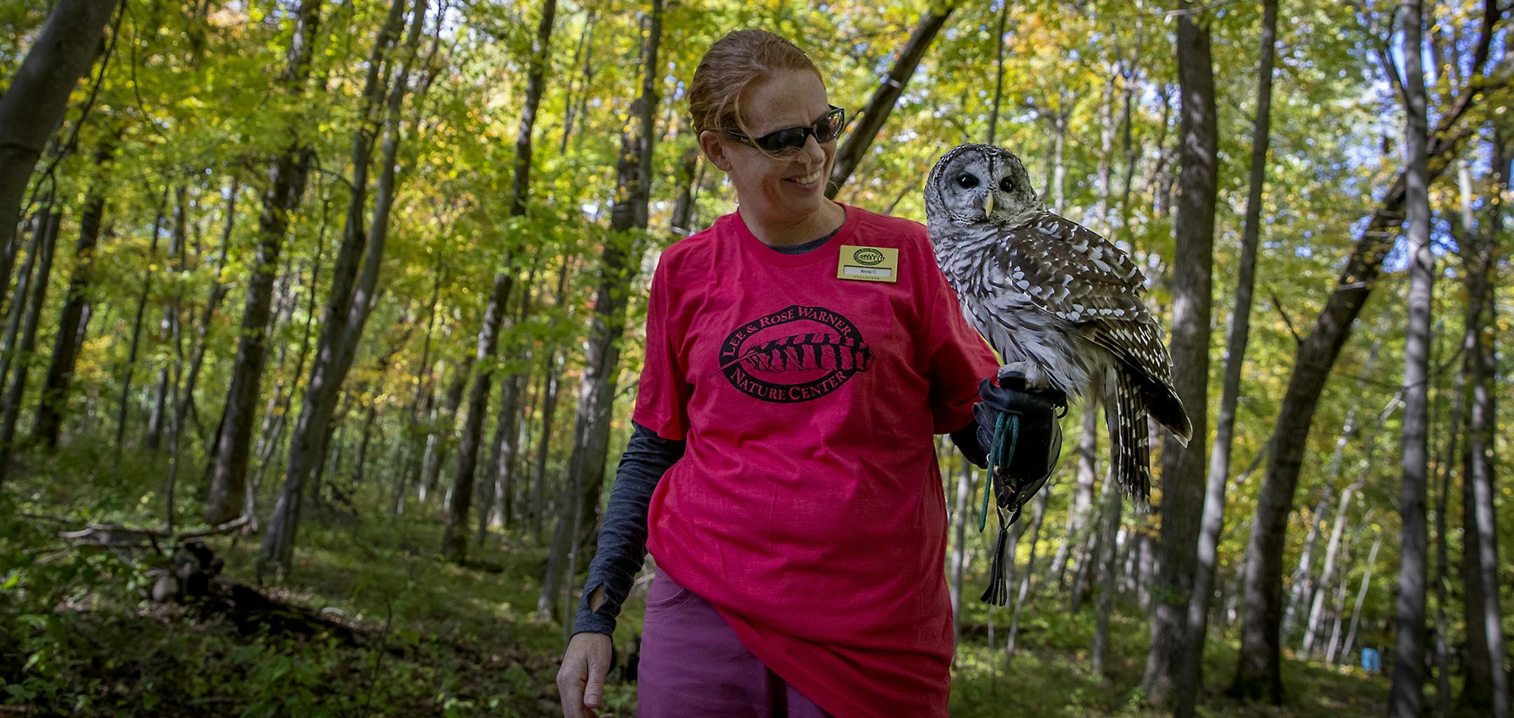 Anne Cammack, cq, held onto a barred owl as she welcomed visitors to the Lee & Rose Warner Nature Center during their annual "Fall Color Blast," event, Sunday, October 6, 2019 in Marine On. St. Croix, MN. ] ELIZABETH FLORES • liz.flores@startribune.com