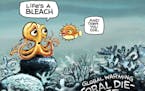 Sack cartoon: Great Barrier Reef