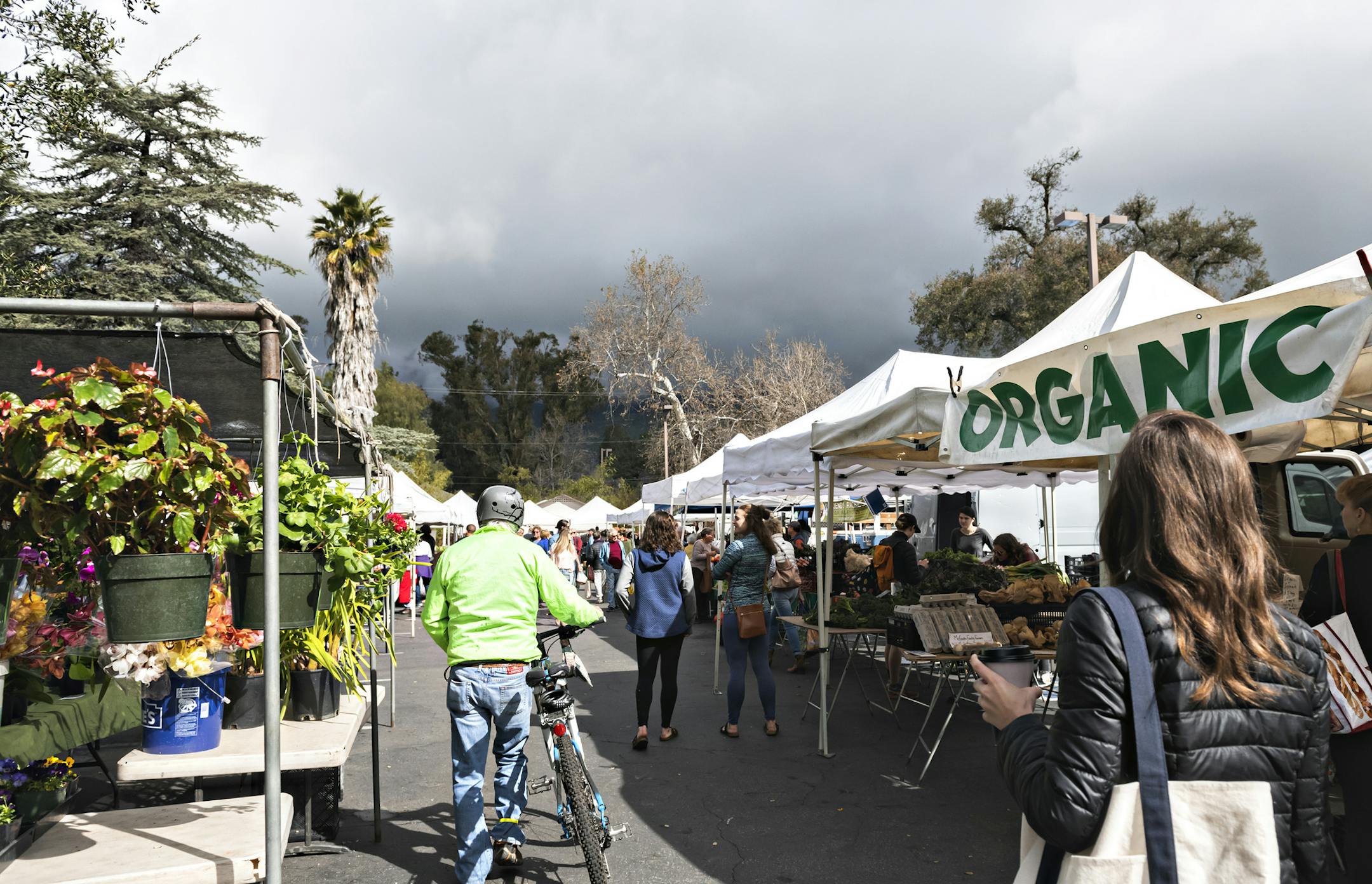 The Ojai farmers&#x2019; market is one of the best with its variety of plants, vegetables, olives, citrus and artistic goods. Located in downtown, the market is open on Sundays and is a great place to stock up on provisions. ] Photo by Leslie Plesser &#x2022; Special to the Star Tribune