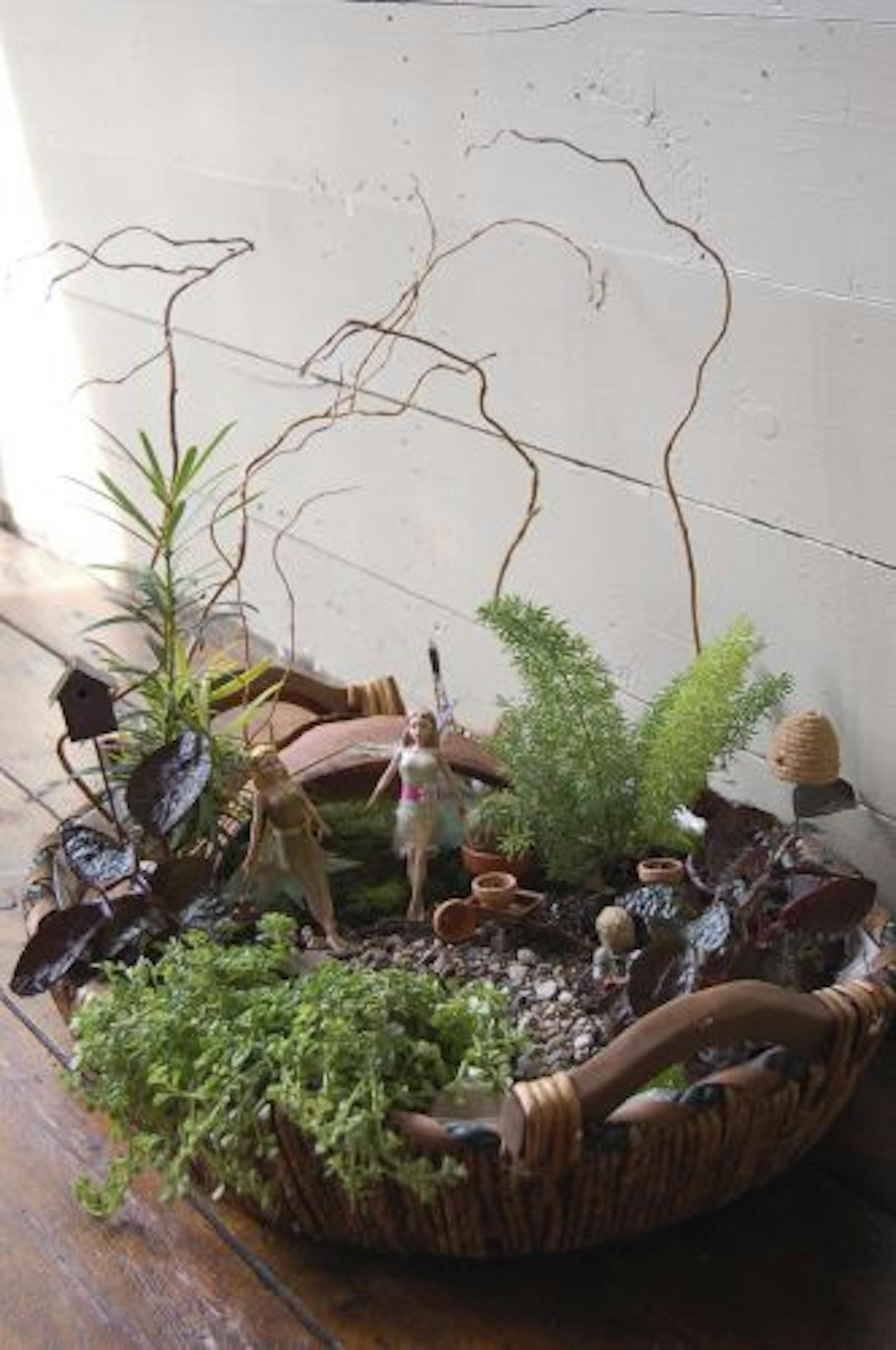 The class "How to Plant a Fairy Garden" by Carver County Flowers and Gifts covers design, plant selection and accessories for miniature gardens that can be planted in beds or containers.