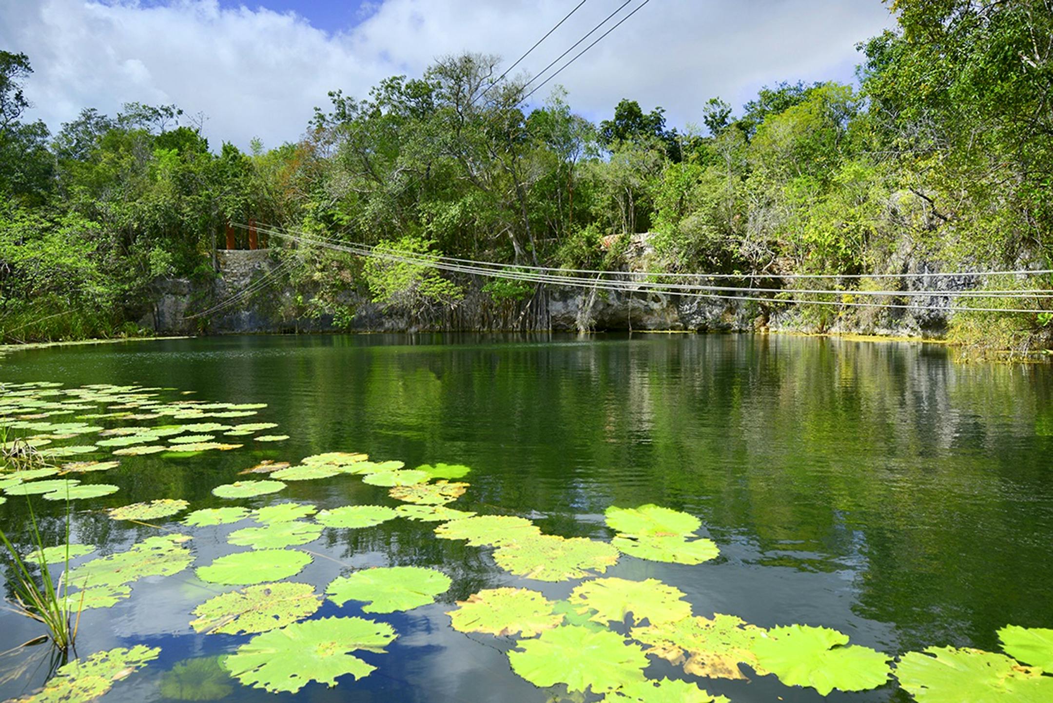 At Xenote Ha, the flying trapeze run provides an eagle eye view of the area.