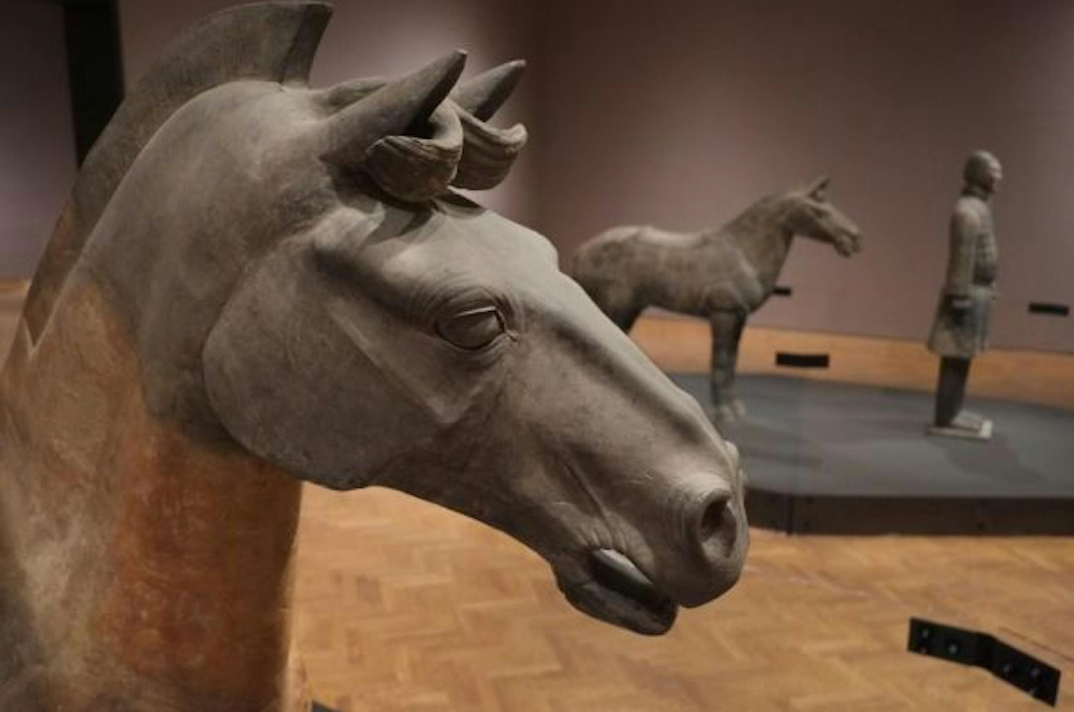 Ceramic cavalryman and horse. __ Just out of the ground after a 2200 year slumber, more or less, the terracotta warriors and other artifacts from tomb of Chinese emperor Qin Shihuang will star in show opening Sunday at MIA. Chinese-born curator Liu Yang is bringing it all together. [ TOM WALLACE • twallace@startribune.com _ Assignments #20025933A_ October 23, 2012_ SLUG: art1o27_ EXTRA INFORMATION: