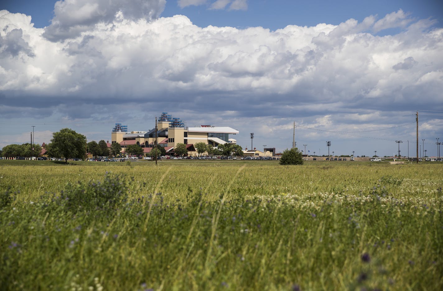 A 26-acre site planned for 625 luxury apartments in a gated community that's adjacent Canterbury Park in Shakopee, Minn., photographed on July 7, 2017. ] RENEE JONES SCHNEIDER &#xef; renee.jones@startribune.com