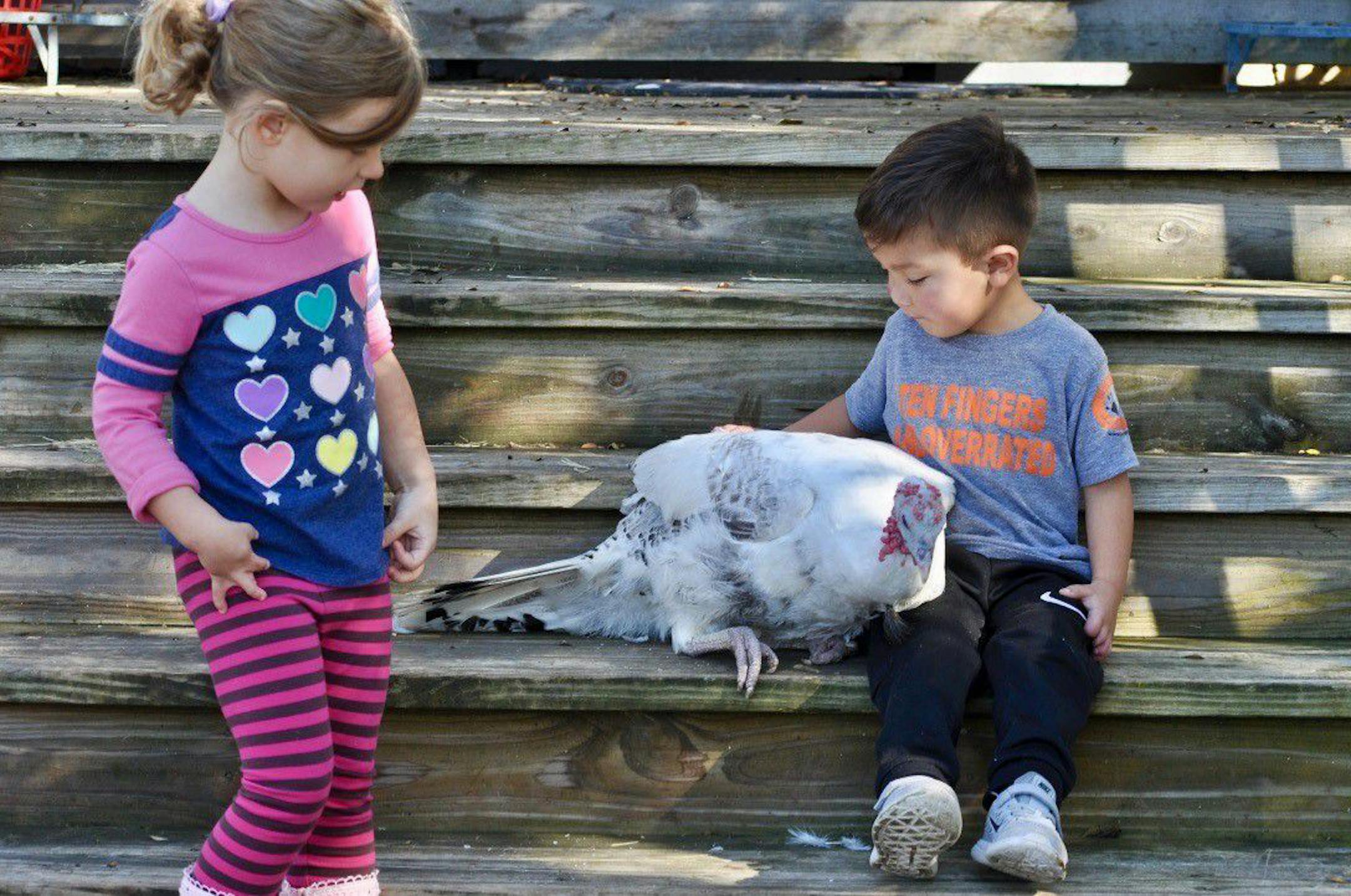 Harper Wulms, 5, and Jay Salazar, 4, visit with Priscilla the turkey and other special-needs animals at Safe in Austin. Harper's mother said it has boosted her self confidence. MUST CREDIT: Safe in Austin.