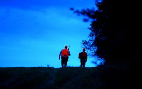 DNR Conservation Officer Greg Verkulen (Left) of Garrison and Spotter Tim Marion, an assistant Wildlife Manager from Cambridge, walk a tree line in se