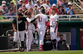 Minnesota Twins Joey Gallo (13) is greeted at the dugout after hitting a home run against Detroit during spring training.