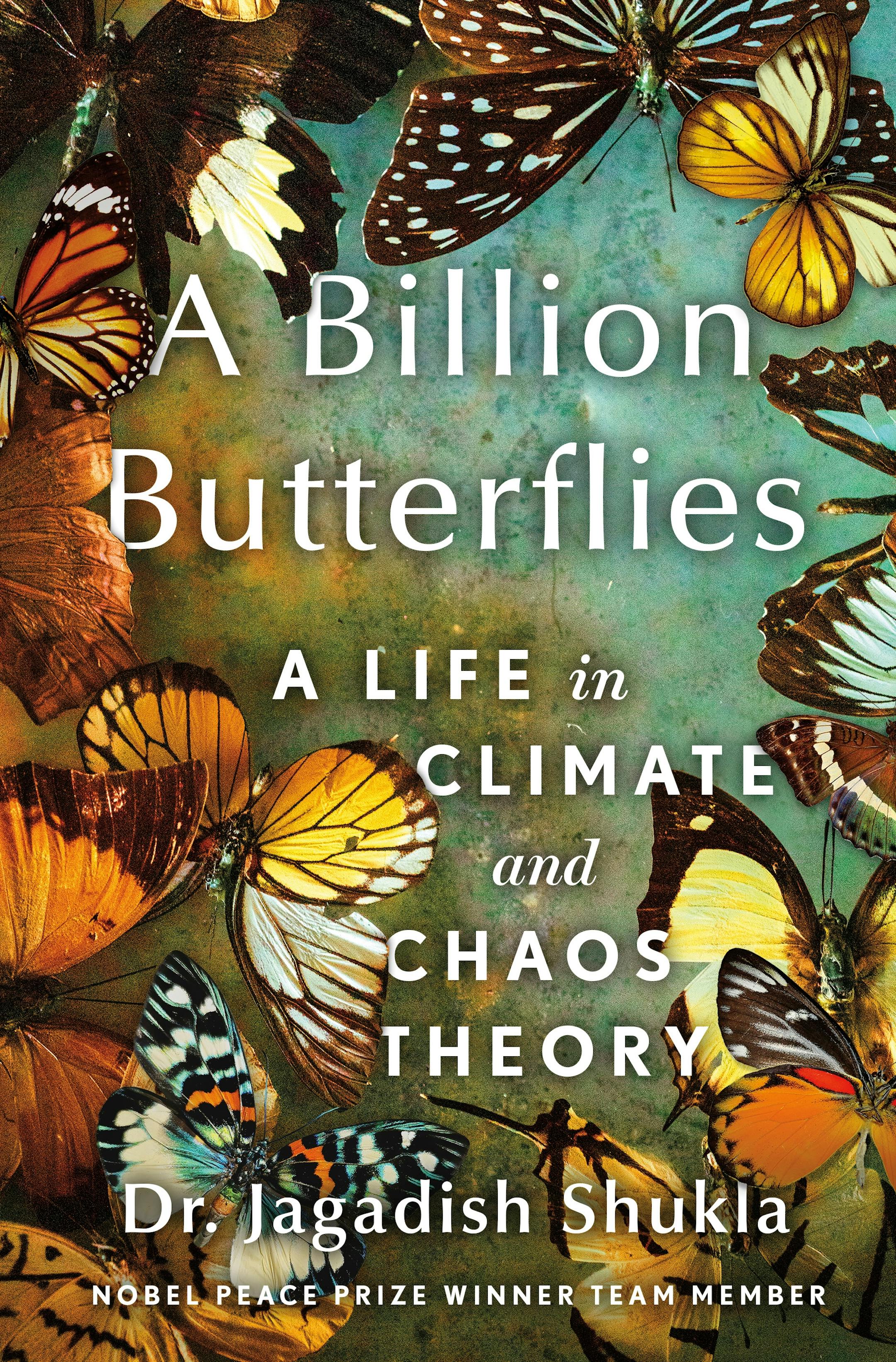 cover of A Billion Butterflies is a photo of dozens of butterflies