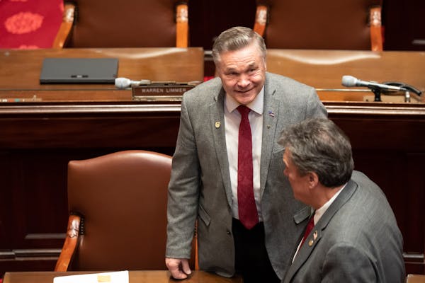 Sen. Glenn Gruenhagen, R-Glencoe, on the Senate floor Wednesday, March 8, 2023.