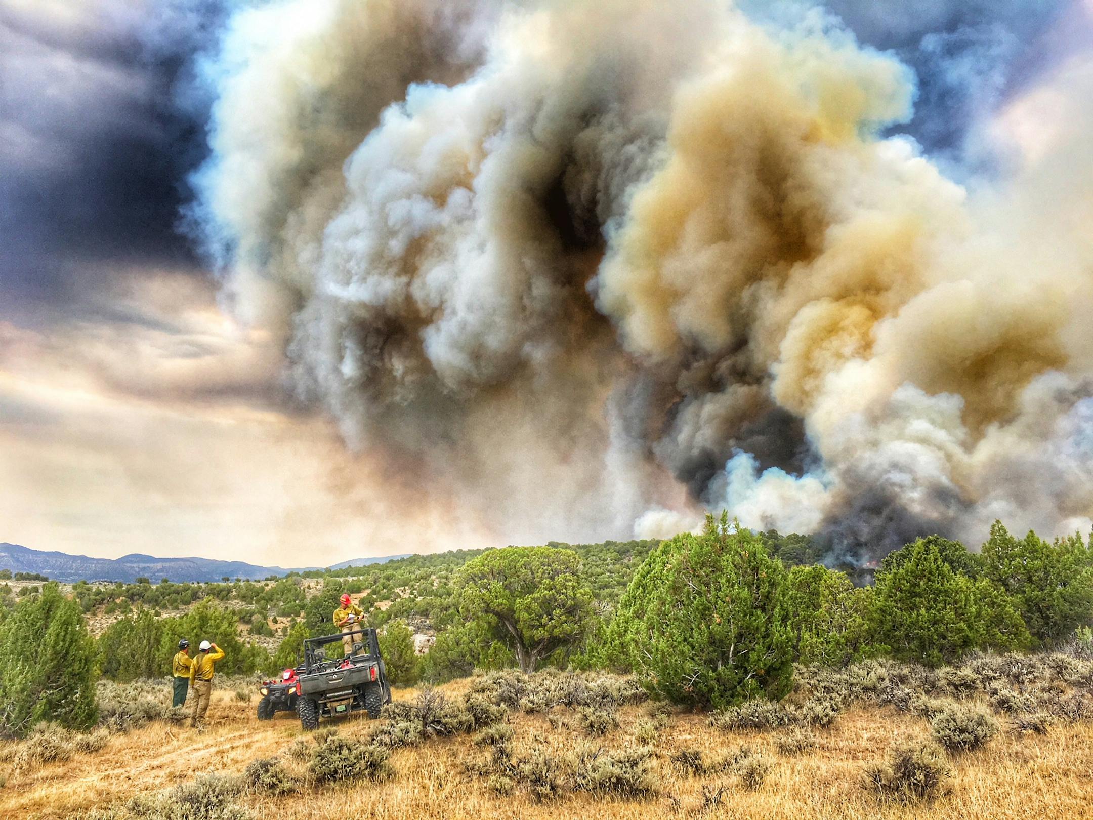 Minnesota firefighters work a fire in Colorado in early July.