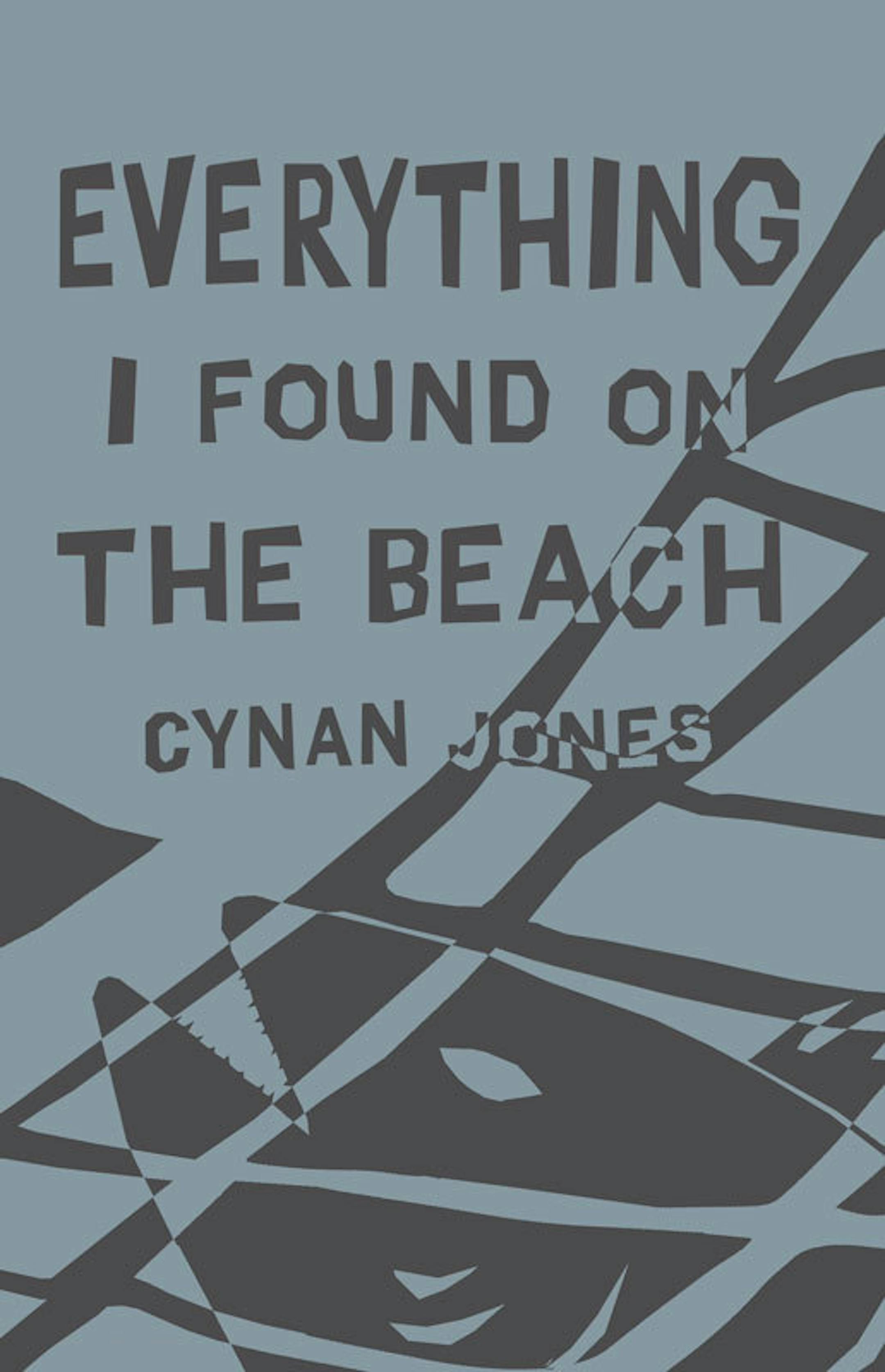 "Everything I Found on the Beach," by Cynan Jones