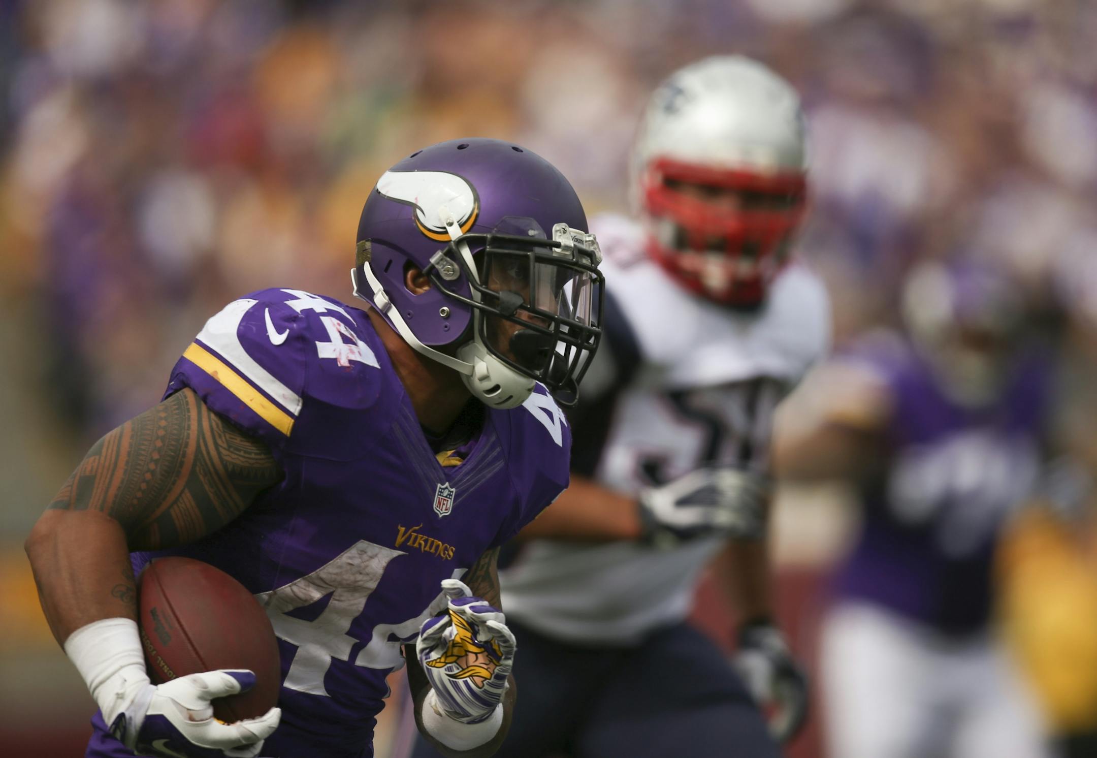 Minnesota Vikings running back Matt Asiata (44) caught a third quarter pass to for an eight yard gain Sunday at TCF Bank Stadium.