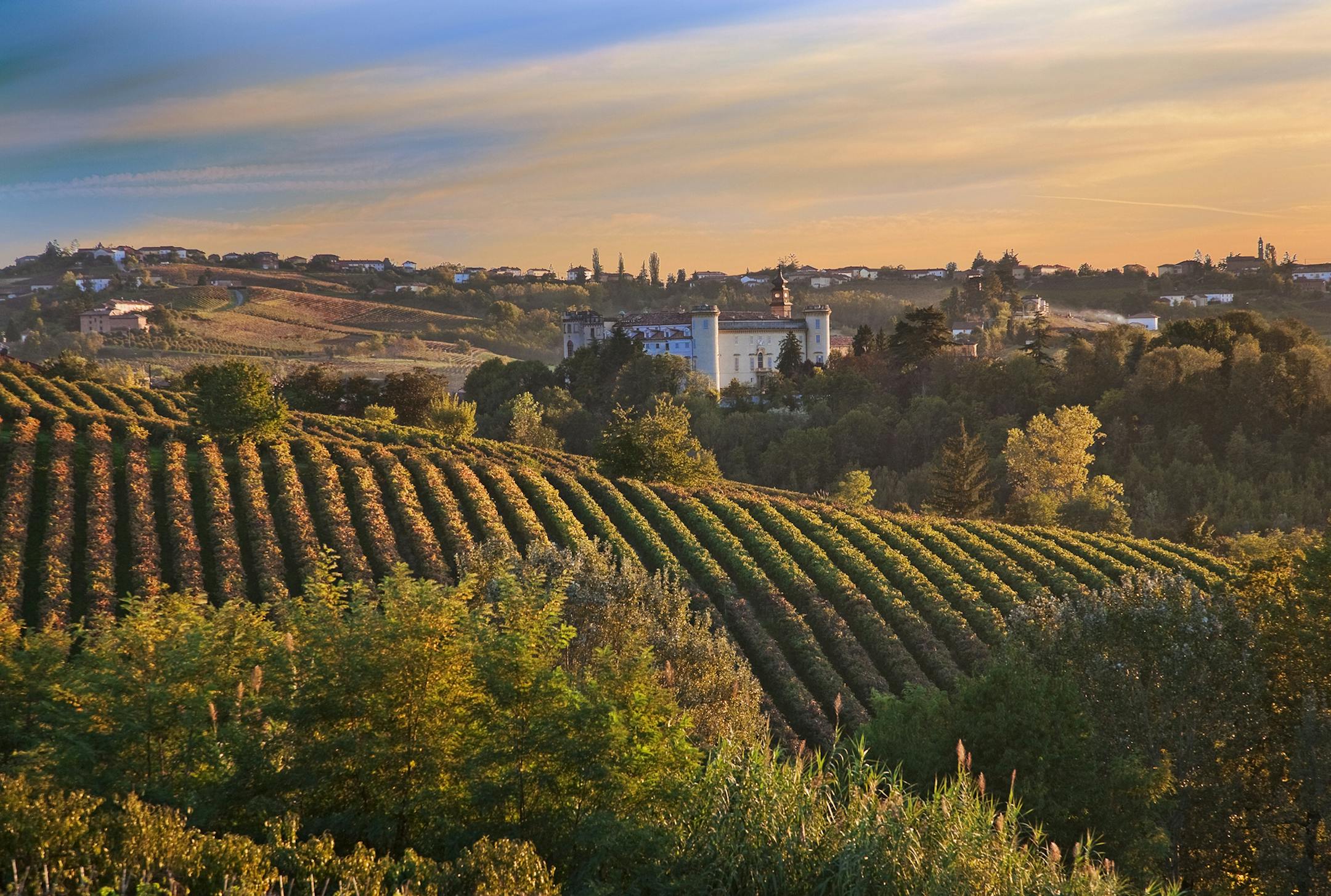 Costigliole d'Asti (Piedmont, Italy) from istock