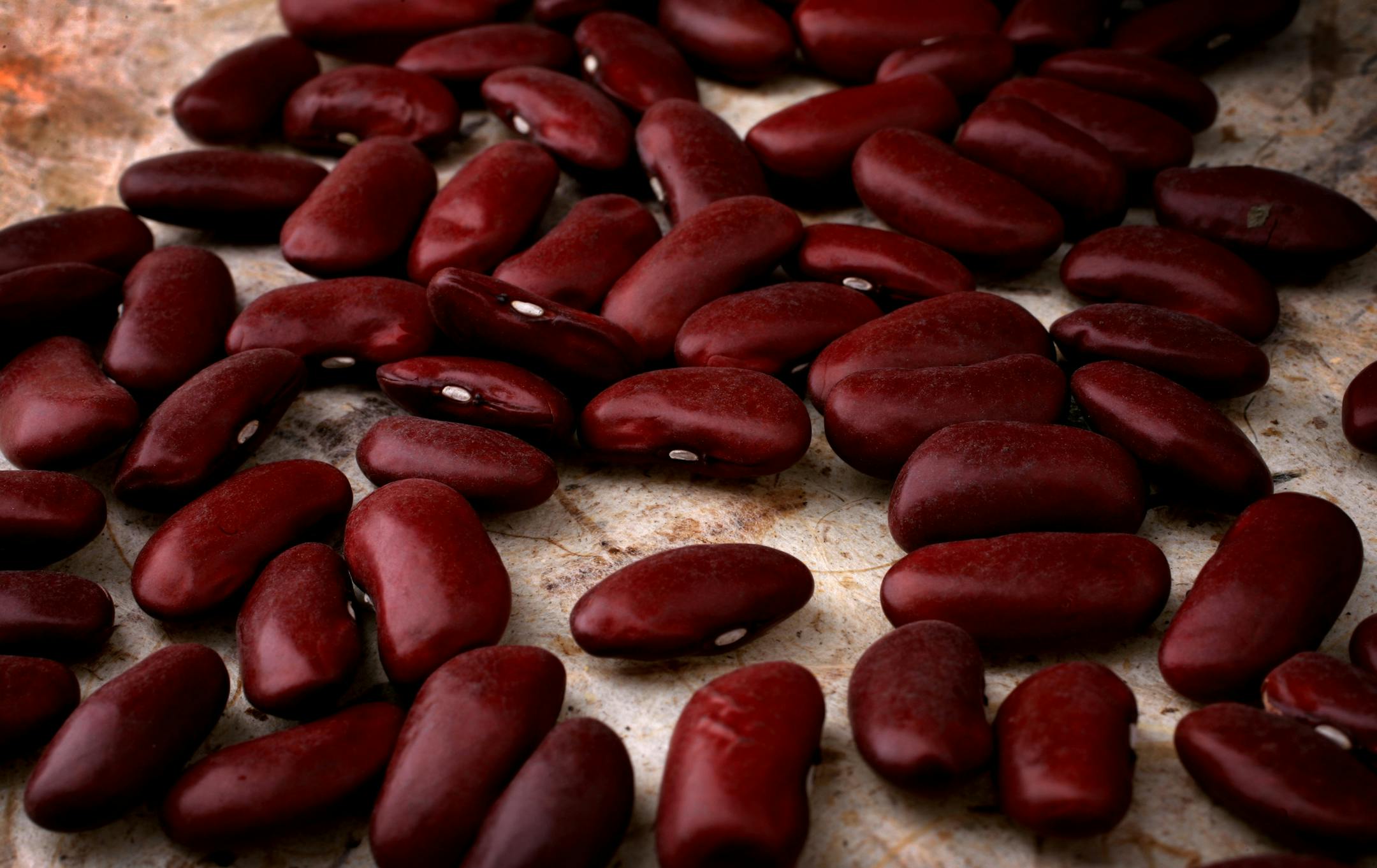 Studio illustration of red beans for a story on Thrifty foods.