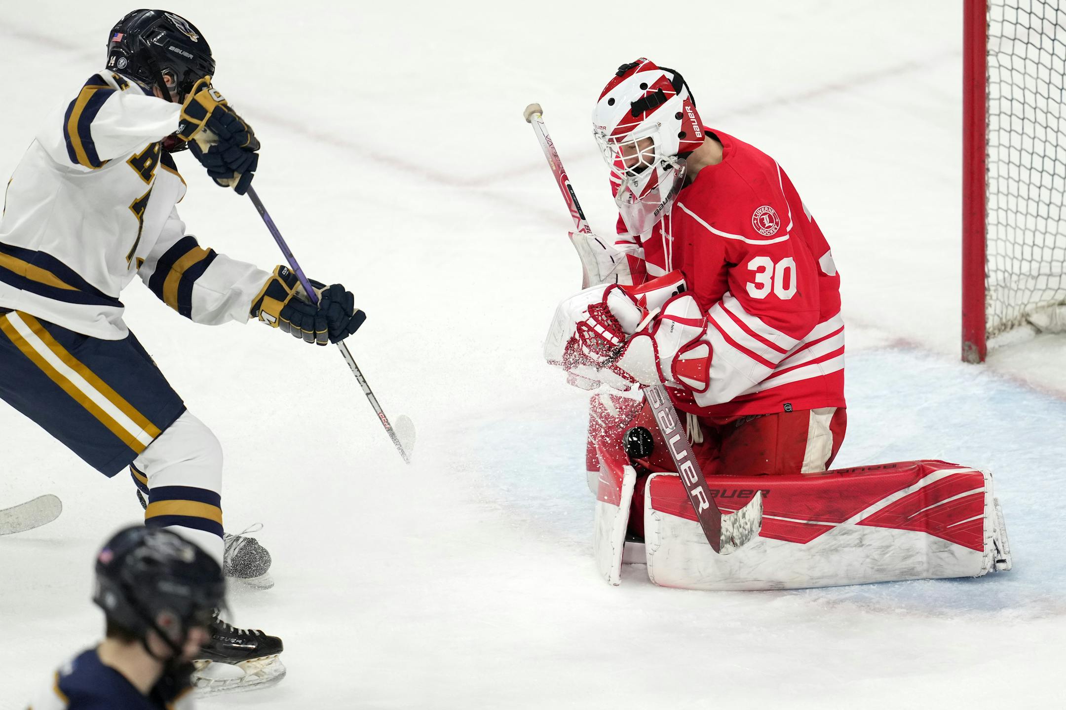 Hermantown forward Aaron Evjen (14) takes a shot on Luverne goaltender Tyler Arends (30) in the second period of a MSHSL Class 1A quarterfinal hockey game between Luverne and Hermantown.
