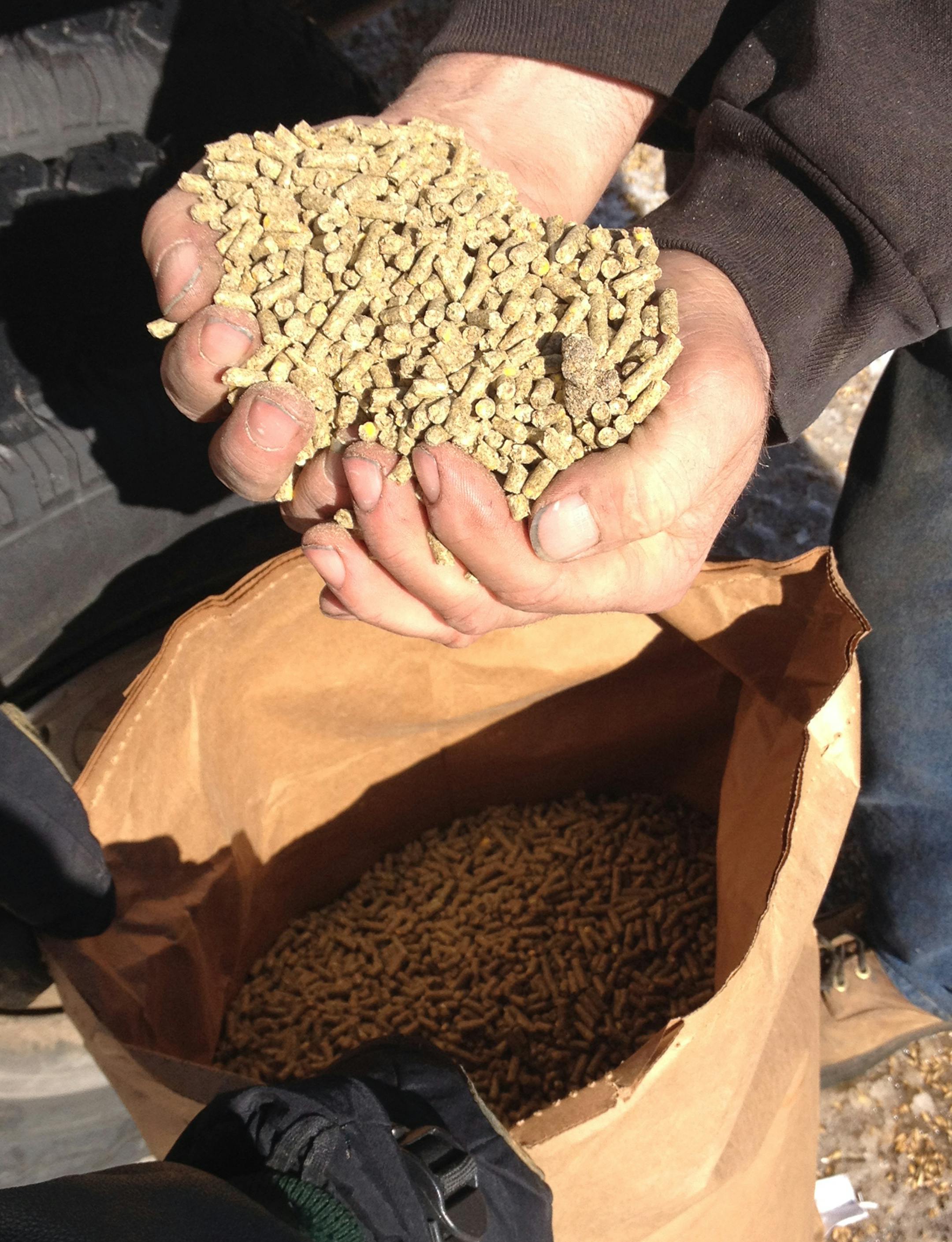 About 65 tons of pellitized deer feed, paid for by deer hunters, has been distributed since the emergency deer feeding program begain last week. Photo courtsey Mark Johnson/Minnesota Deer Hunters Association