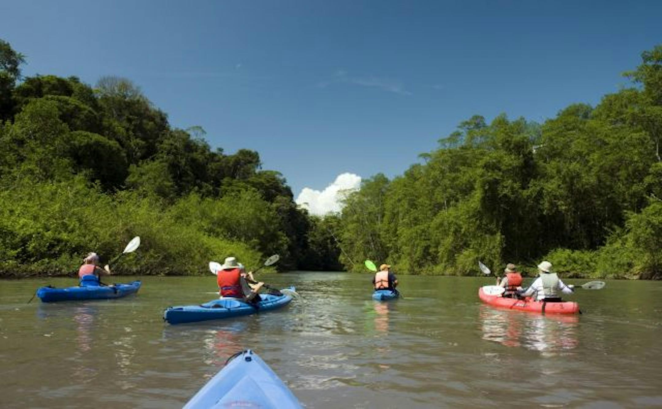 River kayaking offers a fresh view on wildlife, including crocodiles.
