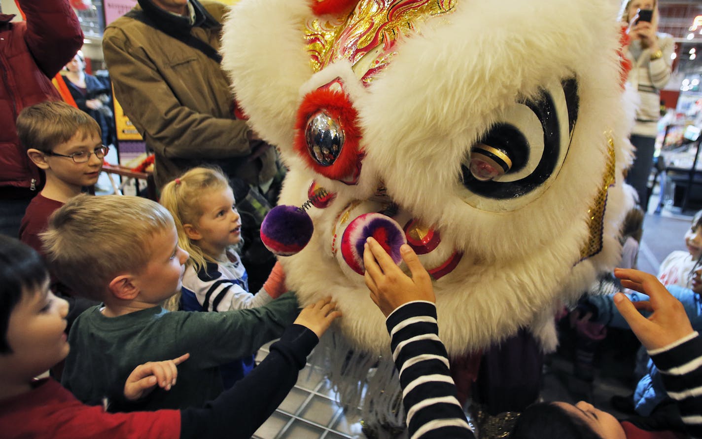 The Ha Family Dance Troupe of Little Canada performed at Midtown Global Market in Minneapolis to celebrate the Chinese New Year. The traditional Lion dance delighted those in attendance. Kids got up close and personal with one of the Lion characters at the end of the show. (MARLIN LEVISON/STARTRIBUNE(mlevison@startribune.com)