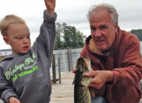 No rod needed. 3-year-old catches 27-inch northern