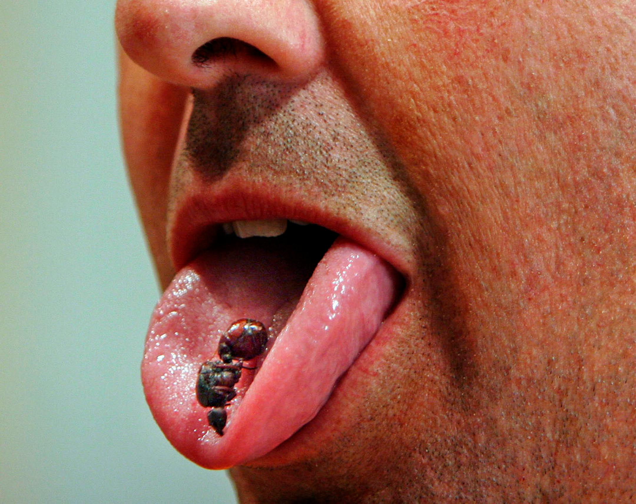 Andrew Zimmern plays around before eating a roasted ant while filming for his new Travel Channel show Bizarre Foods at Gene Rurka's farm in New Jersey.