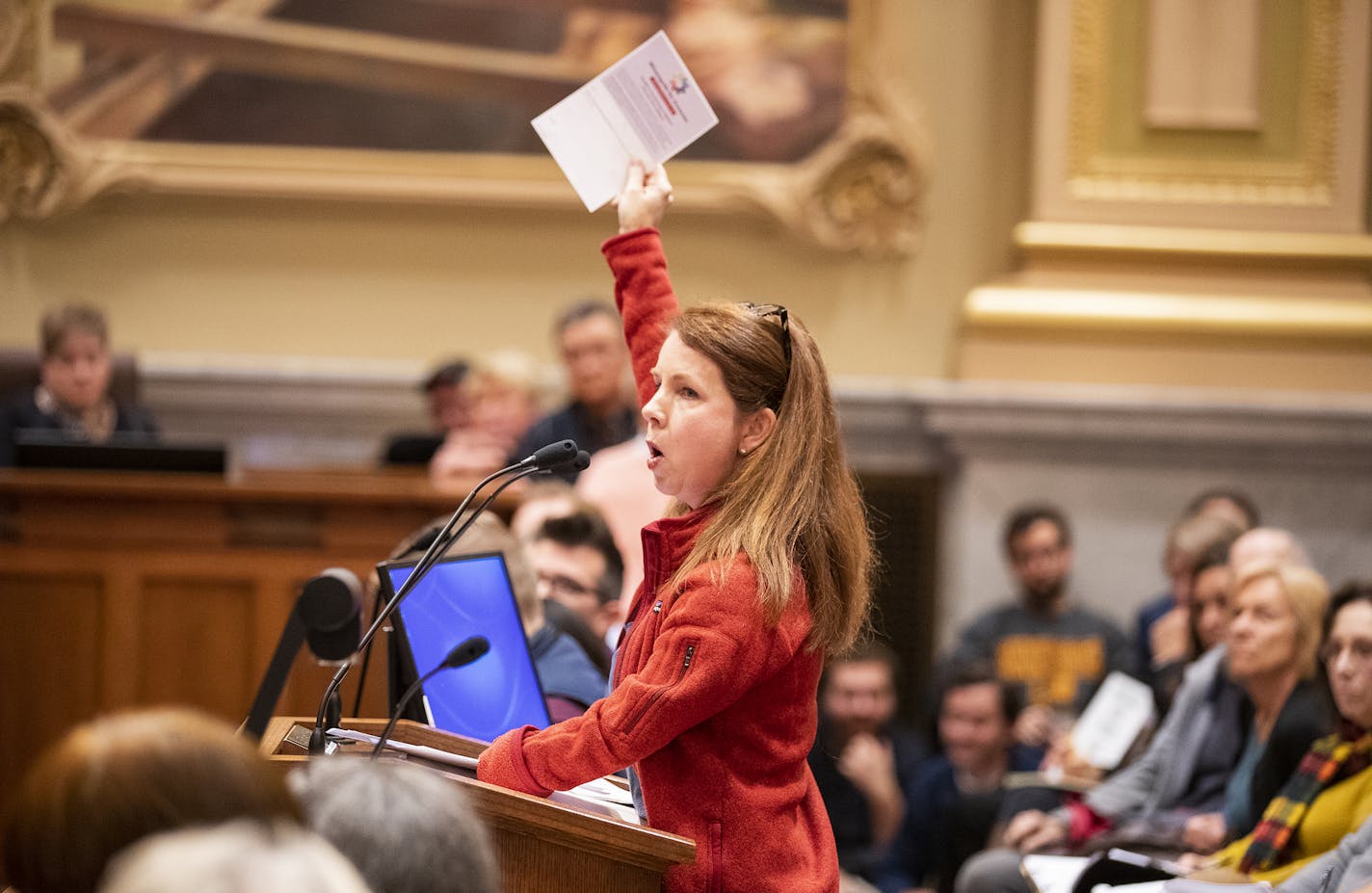 Colleen Kepler is a Minneapolis resident who attended Monday's meeting to state her opposition to the city's 2040 plan in its current form.