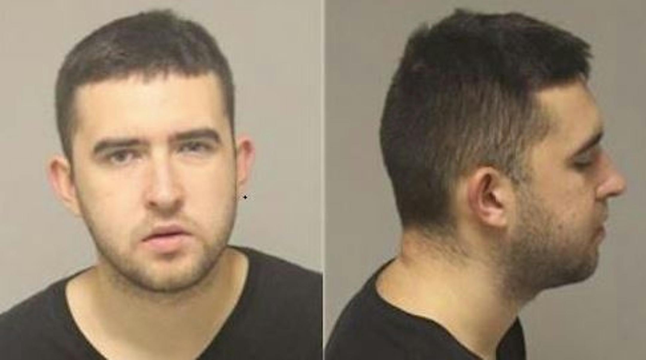 Valentin Andonii Credit: Anoka County jail