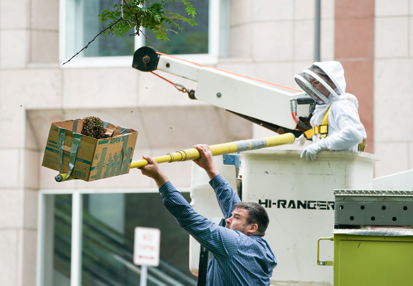 Troy Forcier, facilities project manager for Hennepin County, helped beekeeper Misty Hoffman remove a massive swarm of honeybees Monday in downtown Minneapolis.