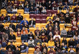 Fans sat in the stands during a Gophers men's hockey game in this 2016 file photo.
