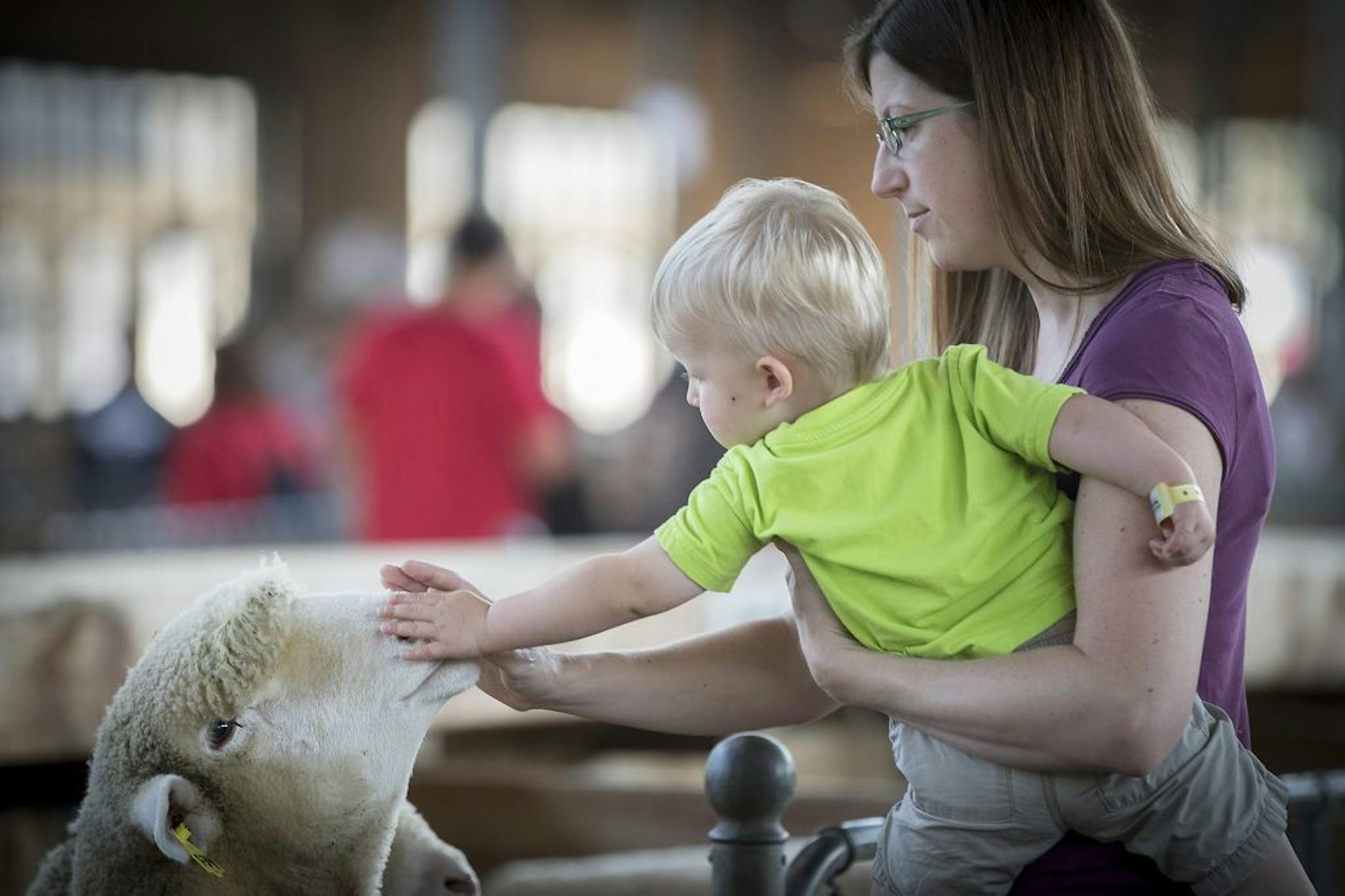 Emily Eilts and her son Haldan, cq, spent some time petting the animals on the last day of the Minnesota State Fair, Monday, September 4, 2017 in Falcon Heights, MN.