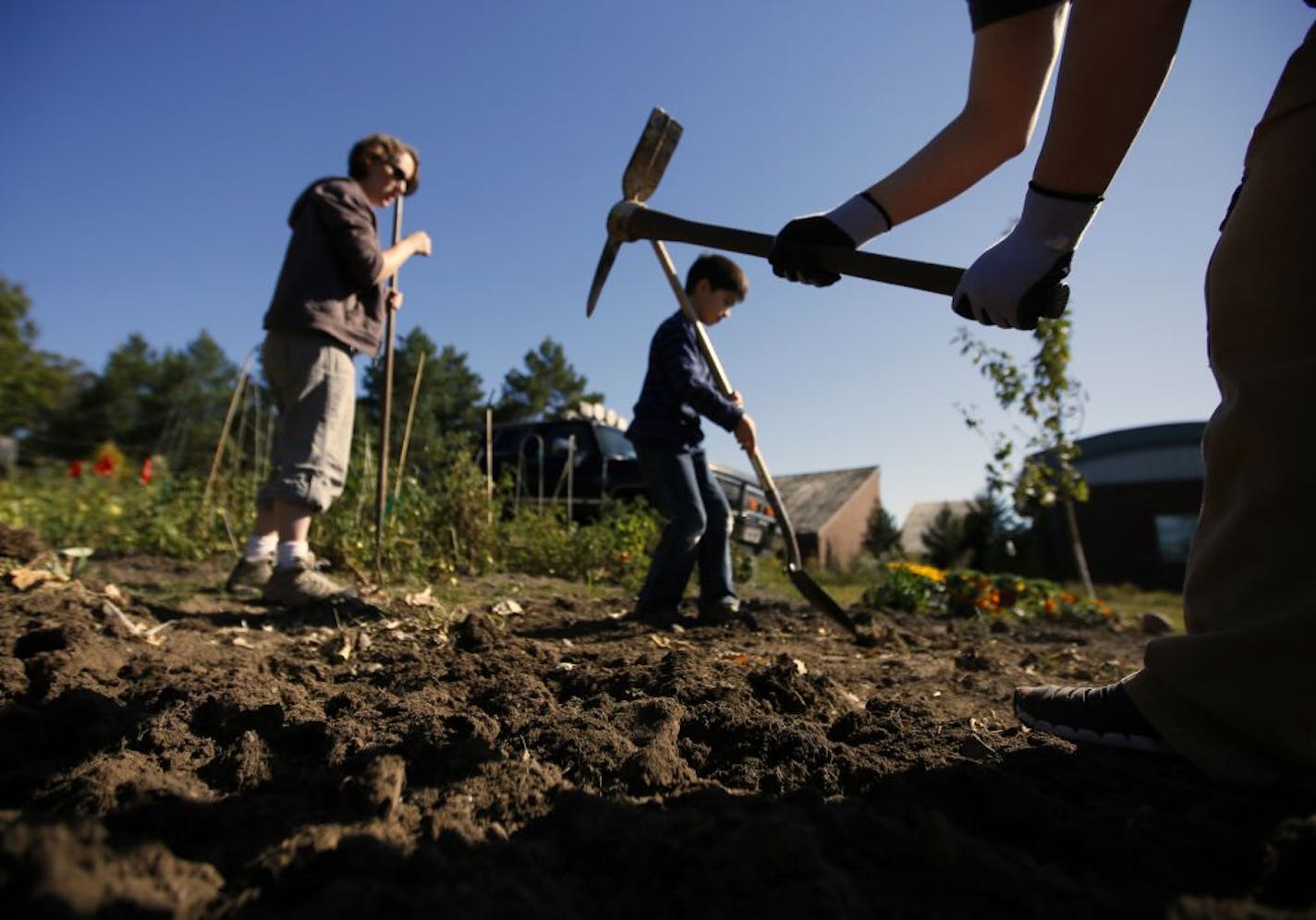 On the Inver Grove Community College campus, August Hoffman, who is a professor of psychology at Metro State, studies how gardening is an important community building activity and can bridge the ethnic divide. He juxtaposes that with screen time, which in his opinion isolates. Here, as student Sam Goers (right) loosens up the dirt with a pick axe, Misha Liang and her son Brandon, 8, prepare to plant some flowers.