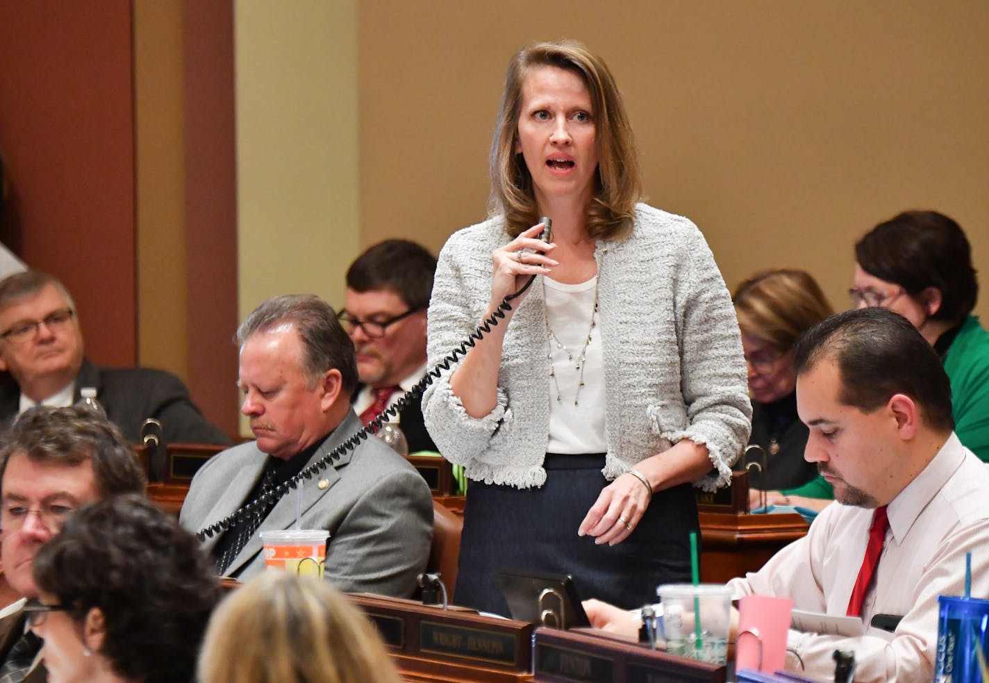 Rep. Sarah Anderson, R-Plymouth, shown in March, said she is exploring ways to protect students from being stigmatized over unpaid lunches.