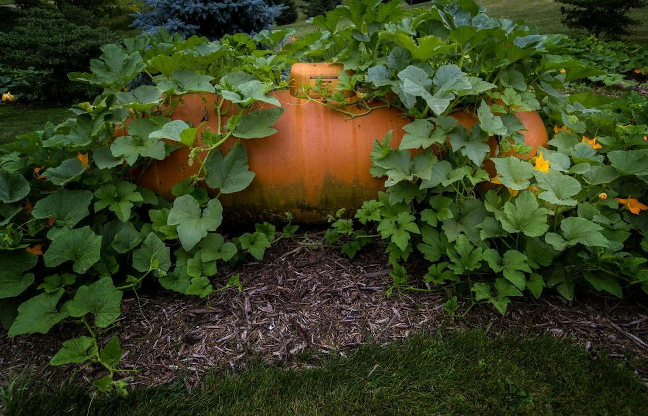 They painted a propane tank orange to blend with the pumpkin patch on the property.