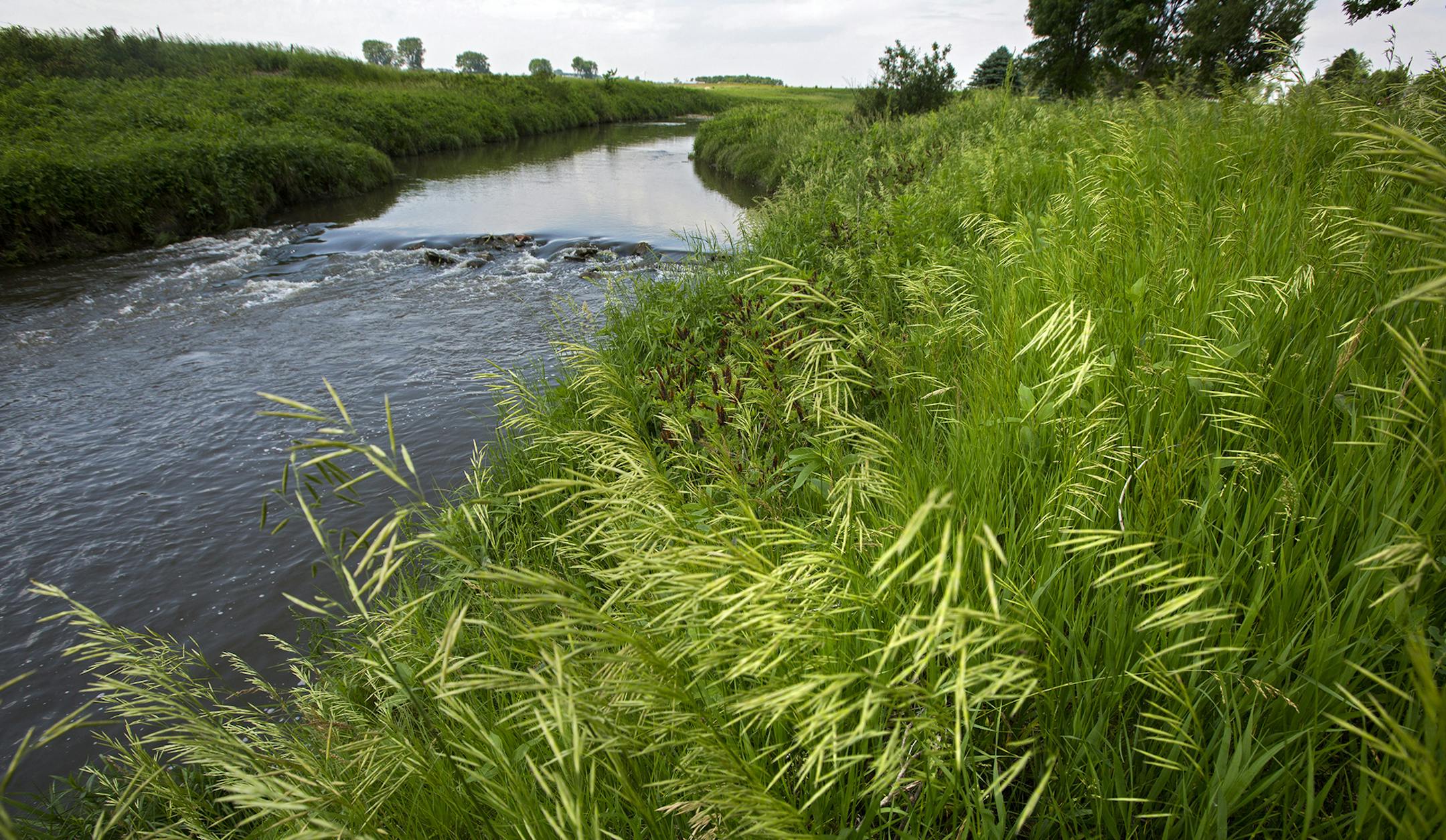 A buffer strip of grass and trees along the Rock River west of Edgerton is a good example of the protective strips that help filter runoff. ] In the small town of Edgerton where a shallow aquifer readily absorbs leaching farm chemicals, residents pay extra every month for special treatment to make their water safe to drink. The nitrate-removal system -- now woven into the infrastructure of this heavily Dutch settlement - reflects the dilemma that a number of communities are having across Minneso