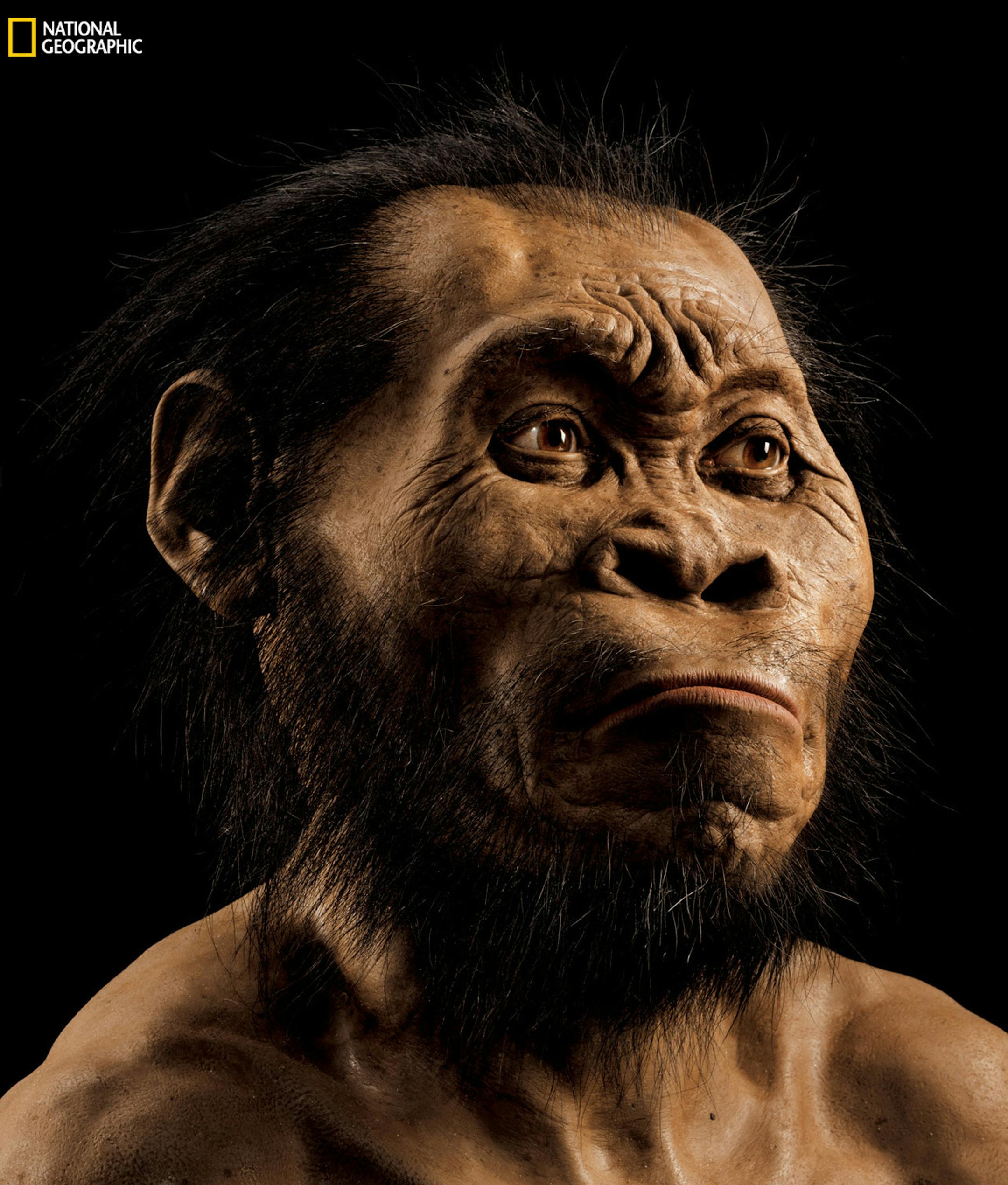 This March 2015 photo provided by National Geographic from their October 2015 issue shows a reconstruction of Homo naledi's face by paleoartist John Gurche at his studio in Trumansburg, N.Y. In an announcement made Thursday, Sept. 10, 2015, scientists say fossils found deep in a South African cave revealed the new member of the human family tree. (Mark Thiessen/National Geographic via AP) IMAGE MUST INCLUDE NATIONAL GEOGRAPHIC LOGO; CROPPING NOT PERMITTED; MANDATORY CREDIT: "MARK THIESSEN/NATION