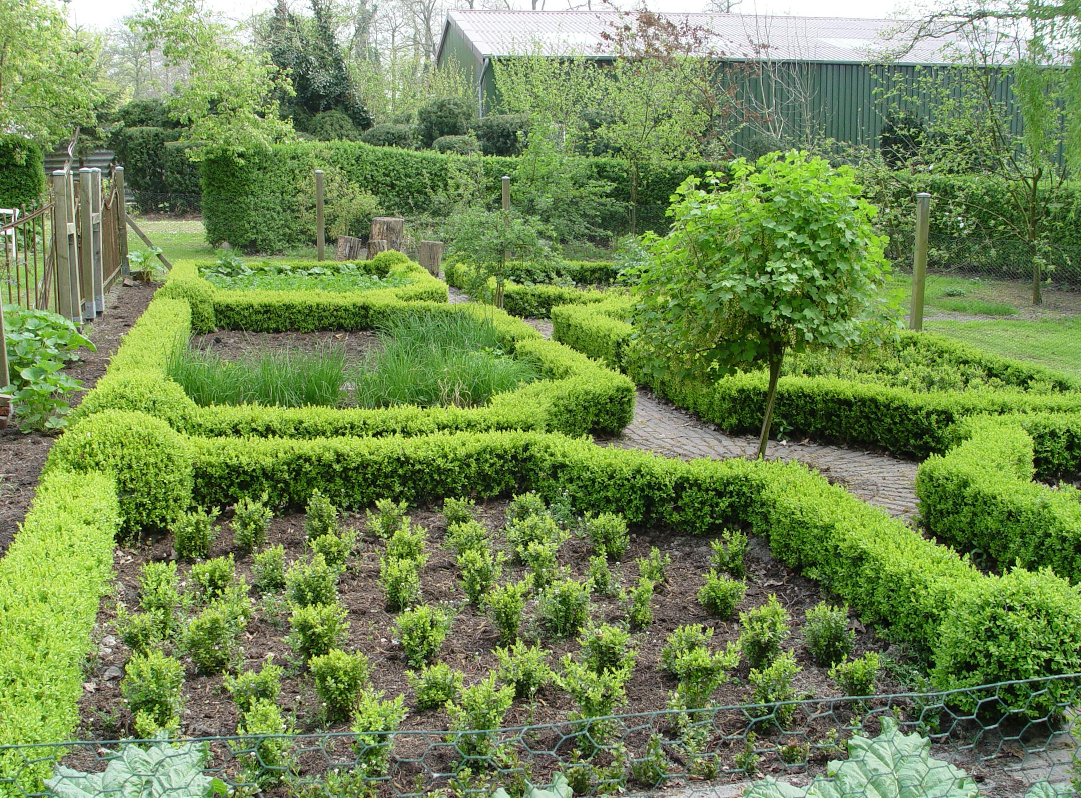 SH13A076YARDSMART Jan. 14, 2013 -- Small boxwood hedges can be used to outline more ornamental potager gardens. (SHNS photo courtesy Maureen Gilmer)