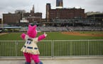 The Saints' mascot, Madonna, took in the view from the outfield patio Monday night.