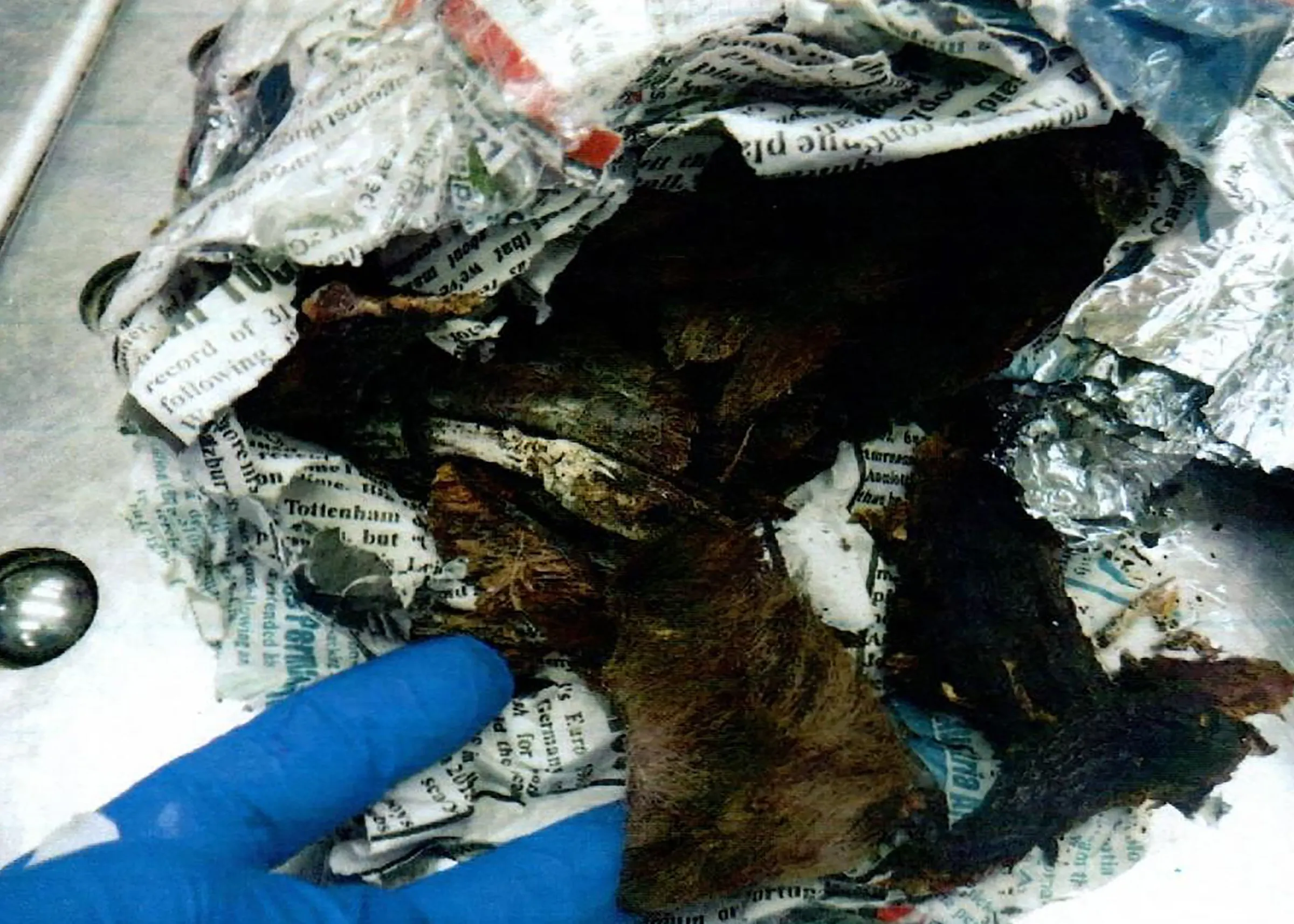 Potentially deadly bushmeat from Africa seized at Minneapolis-St. Paul ...