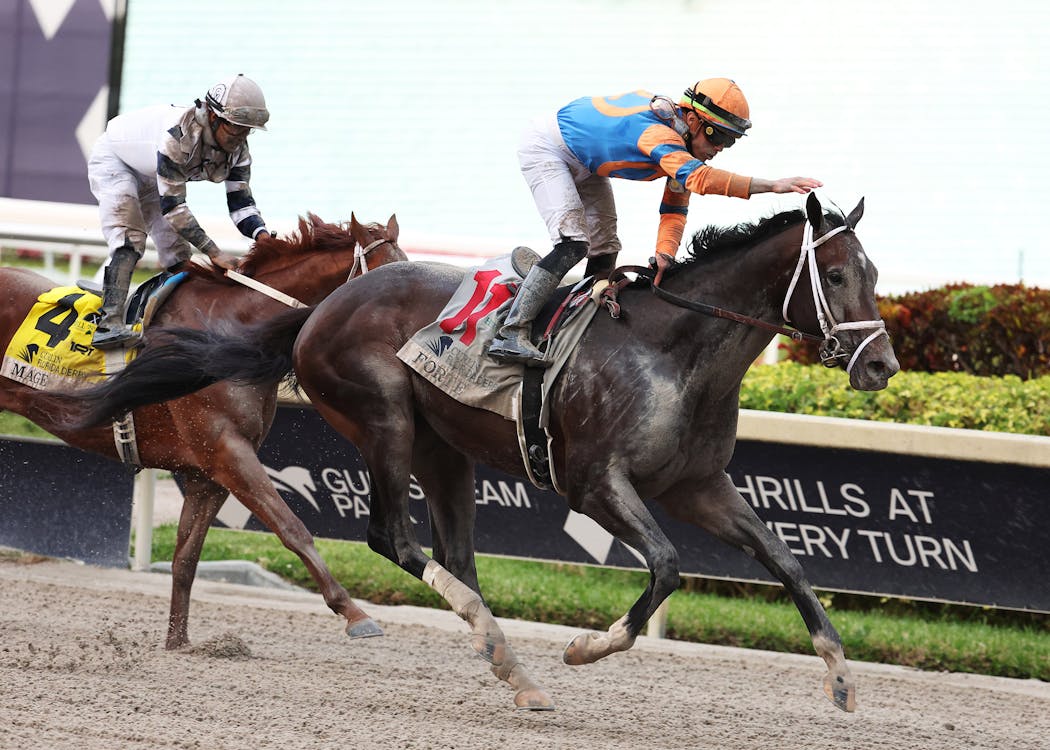 Forte won the Florida Derby in April.
