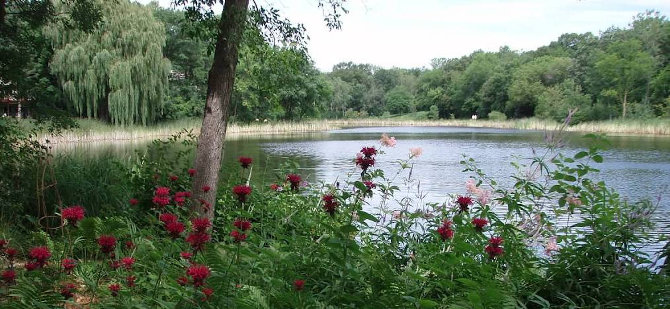 Deb Revier's garden, Extension Maste Gardener Learning Garden Tour