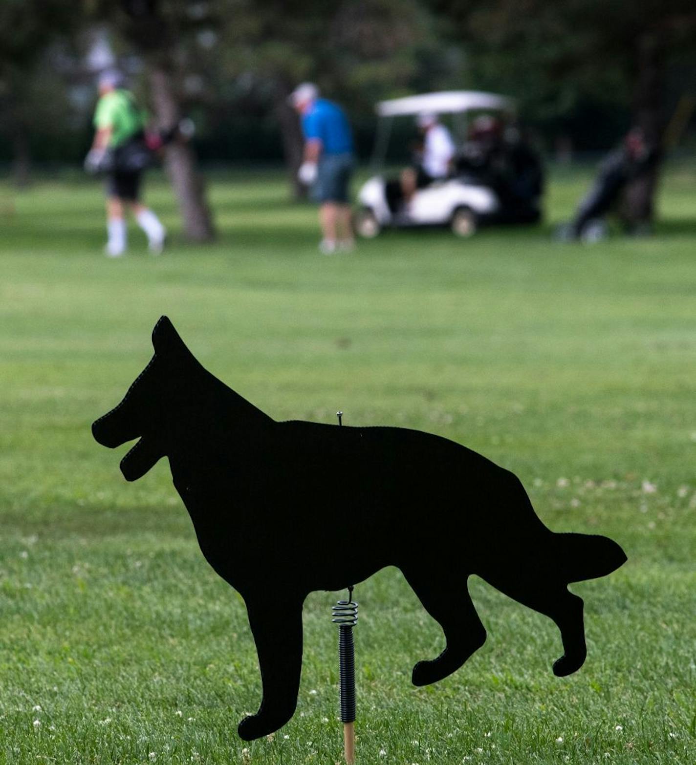 Golfers walked near a decoy dog along the fairway of the first hole at Soldier Field Golf Course in Rochester. The dogs, which are mounted on springs and move with the wind, are meant to scare away Canadian geese.