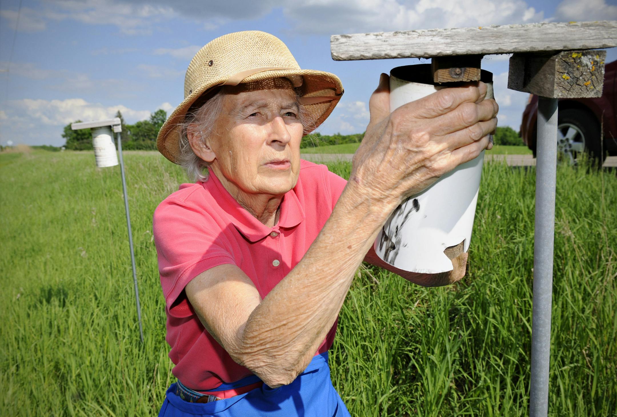 ADVANCE FOR USE ON MONDAY, JUNE 30 - In this photo taken on Wednesday, June 4, 2014, Dorene Scriven check her bluebird houses around Lake Maria State Park near Monticello, Minn. Her careful monitoring has helped to bring about 4,000 blue≠birds to the fledgling stage in the 40 years since she established a 5-mile, 62-box trail encircling the park. (AP Photo/St. Cloud Times, Jason Wachter) NO SALES ORG XMIT: MIN2014070119142464